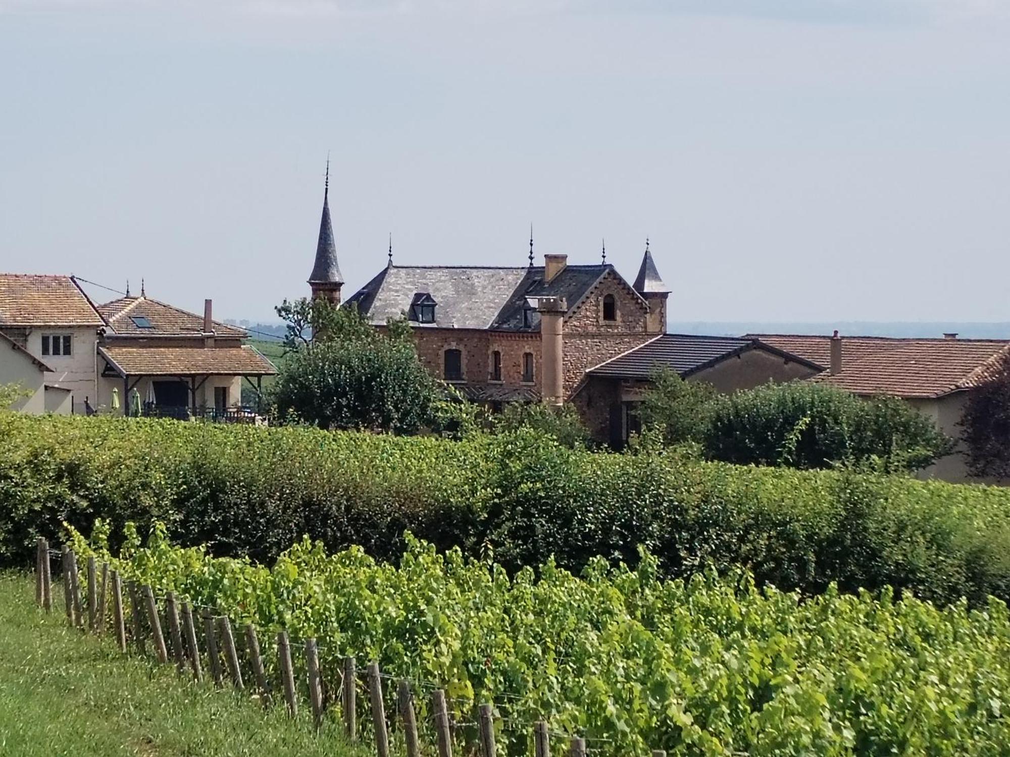 Le Petit Chateau De Sathonat - Horizon Paradis Saint-Amour-Bellevue Экстерьер фото